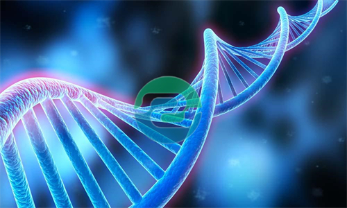 中山入學(xué)親子鑒定的詳細(xì)程序介紹