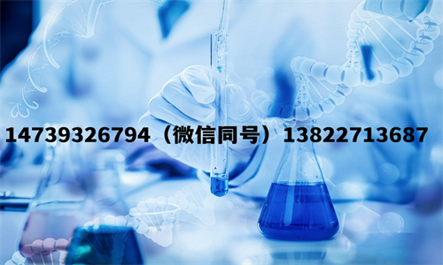 中山DNA親子鑒定價格，盛澤基因告訴你優惠價